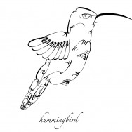 Typography Hummingbird