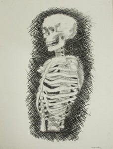 Skeleton study