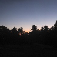 this morning