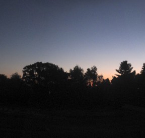 this morning