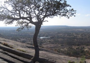 Enchanted Rock